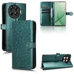 For Tecno Spark 20 Pro+ 4G Honeycomb Dot Texture Leather Phone Case(Green)