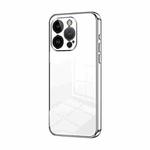 For iPhone 14 Pro Transparent Plating Fine Hole Phone Case(Silver)