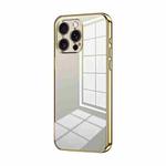 For iPhone 16 Pro Max Transparent Plating Fine Hole Phone Case(Gold)