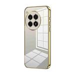 For OnePlus Ace 3 Pro Transparent Plating Fine Hole Phone Case(Gold)