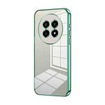 For Realme 13 Pro Transparent Plating Fine Hole Phone Case(Green)