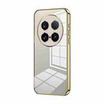 For vivo X100 Ultra Transparent Plating Fine Hole Phone Case(Gold)