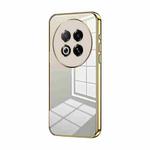 For Meizu Note 16 Pro Transparent Plating Fine Hole Phone Case(Gold)