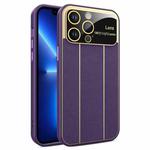 For iPhone 13 Pro Electroplating Litchi Grain Large Window Phone Case(Purple)