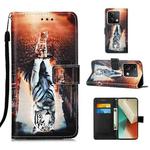 For Xiaomi Redmi Note 13 5G Global Colored Drawing Pattern Plain Weave Leather Phone Case(Cats And Tigers)