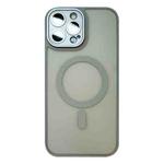 For iPhone 15 Pro Max MagSafe Skin Feel Phone Case with Lens Film(Primary Color)