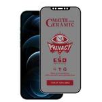 For iPhone 12 Pro Max Full Coverage Frosted Privacy Ceramic Film