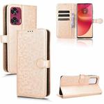 For Motorola Edge 50 Fusion Honeycomb Dot Texture Leather Phone Case(Gold)