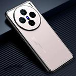For vivo X200 Frosted Metal Phone Case(Gold)