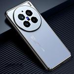 For vivo X200 Pro Frosted Metal Phone Case(Blue)