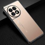 For OnePlus Ace 2 Frosted Metal Phone Case(Gold)