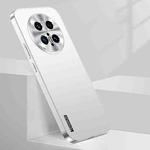 For Huawei Mate 70 Pro / 70 Pro+ Streamer Series Micro Frosted Metal Paint PC Phone Case(Silver)