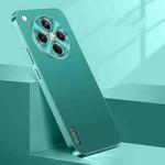 For OPPO Find X8 Streamer Series Micro Frosted Metal Paint PC Phone Case(Alpine Green)