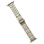 For Apple Watch SE 2023 40mm Stainless Steel Watch Band(Titanium)