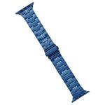 For Apple Watch Ultra 2 49mm Stainless Steel Watch Band(Blue)