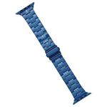 For Apple Watch Ultra 49mm Stainless Steel Watch Band(Blue)