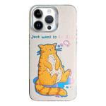 For iPhone 12 Pro Colorful Pattern TPU + PC Phone Case(Cat)