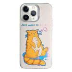 For iPhone 11 Pro Max Colorful Pattern TPU + PC Phone Case(Cat)