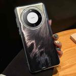 For Huawei Mate 60 Foxtail Bronzing Laser Gradient Phone Case(Black)