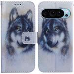 For Google Pixel 9 Pro Coloured Drawing Flip Leather Phone Case(White Wolf)