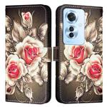 For OPPO F25 Pro 5G India Colored Drawing Pattern Plain Weave Leather Phone Case(Roses On Black)