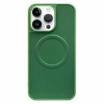 For iPhone 12 Pro Max 2 in 1 MagSafe Magnetic Silicone Leather Phone Case(Green)