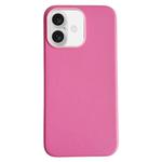 For iPhone 16 Pure Color Leather Magsafe Magnetic Phone Case(Pink)