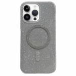 For iPhone 11 Pro Max Glitter MagSafe Magnetic TPU Phone Case(Silver)