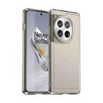 For OnePlus 12 Candy Series TPU Phone Case(Transparent Grey)