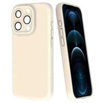 For iPhone 12 Pro Max Fine Hole Dopamine PC Phone Case(White)