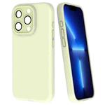 For iPhone 13 Pro Fine Hole Dopamine PC Phone Case(Green)