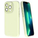 For iPhone 13 Pro Max Fine Hole Dopamine PC Phone Case(Green)