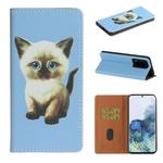 For Samsung Galaxy Note20 Ultra Pure Color Painting Horizontal Flip Leather Case with Card Slot & Holder(Cat)