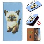 For Huawei P Smart (2020) Pure Color Painting Horizontal Flip Leather Case with Card Slot & Holder(Cat)