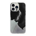 For iPhone 13 Pro Max Cooling Flash Feather TPU + PC Phone Case(Feather Ink)