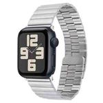 For Apple Watch SE 2023 40mm Bamboo Stainless Steel Magnetic Watch Band(Sliver)