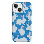 For iPhone 15 Cartoon Film Craft Hard PC Phone Case(Graffiti Rabbit)