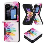 For Samsung Galaxy Z Flip5 Colored Drawing Pattern PU + PC Shockproof Phone Case(Sun Flower)