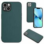 For iPhone 15 Plus R20 Leather Pattern Phone Single Case(Green)