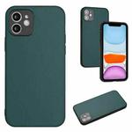 For iPhone 11 R20 Leather Pattern Phone Single Case(Green)