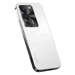 For vivo V29 AG Frosted Electroplating Acrylic Phone Case(Silver White)