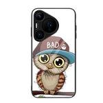 For Huawei Pura 70 Colorful Painted Glass Phone Case(Owl)