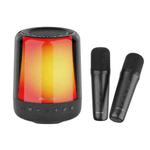 Zealot S66M RGB Rhythmic Light Karaoke Wireless Speaker, Style:Dual Mic(Black)