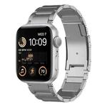 For Apple Watch SE 2022 40mm Titanium Metal Watch Band(Silver)