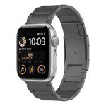 For Apple Watch SE 2022 44mm Titanium Metal Watch Band(Grey)