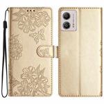 For Motorola Moto G13 Cherry Blossom Butterfly Skin Feel Embossed PU Phone Case(Gold)