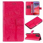 For Motorola Edge 50 Pro Tree & Cat Embossed Pattern Flip Leather Phone Case(Rose Red)