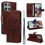 For Motorola Moto G56 5G Tree & Cat Embossed Pattern Flip Leather Phone Case(Coffee)
