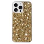 For iPhone 13 Pro Transparent Frame Glitter Powder TPU Phone Case(Gold)