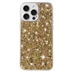 For iPhone 15 Pro Transparent Frame Glitter Powder TPU Phone Case(Gold)